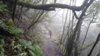 B Path of mystery