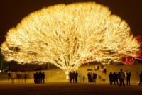 Reality Tree