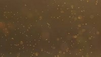 Dust Particles